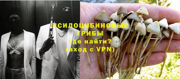 мяу мяу мука Алексеевка