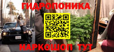 таблы Новокубанск