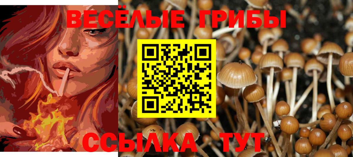 Галлюциногенные грибы мицелий Пенза